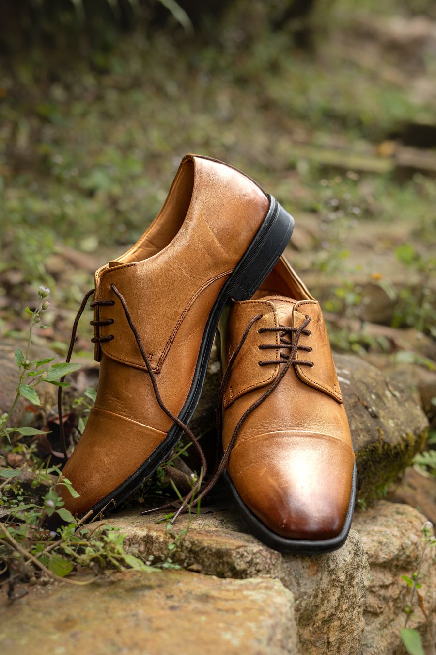 বাচ্চাদের স্কুল শু - Kids School Shoes